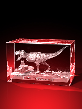 T-Rex - Quader 80 x 50 x 50 mm – GLASFOTO.COM